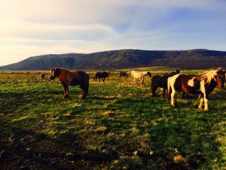 Iceland via Wayfaring With Wagner