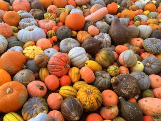 Ludwigsburg Pumpkin Festival via Wayfaring With Wagner