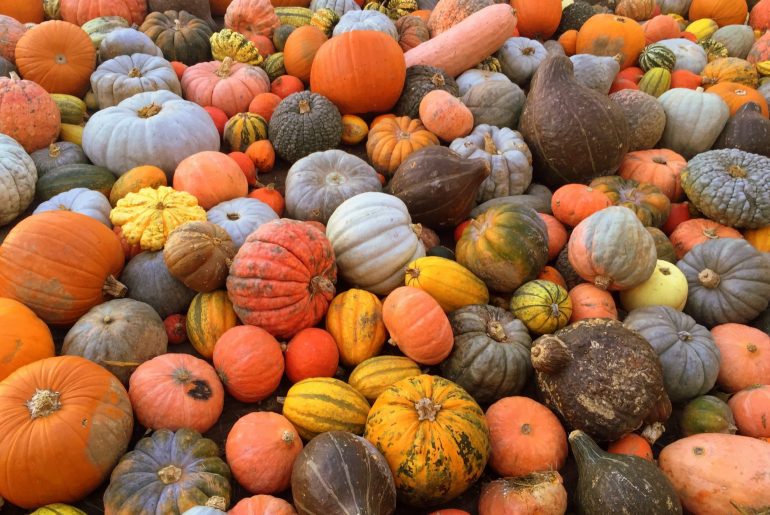 Ludwigsburg Pumpkin Festival via Wayfaring With Wagner