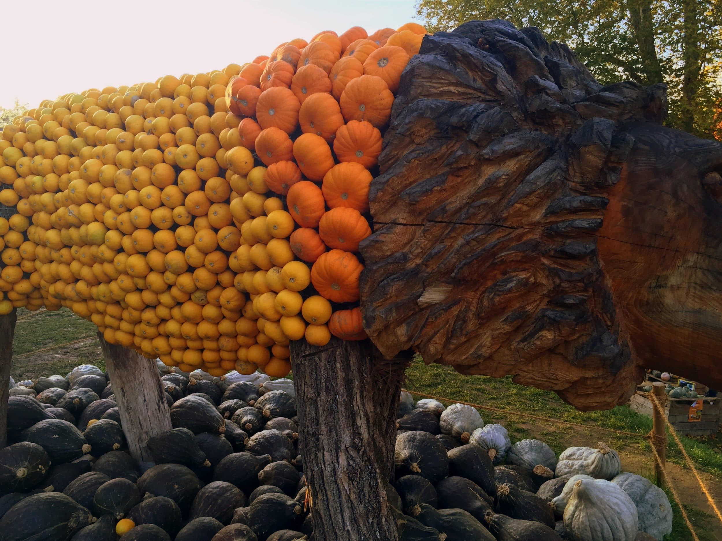 Ludwigsburg Pumpkin Festival via Wayfaring With Wagner