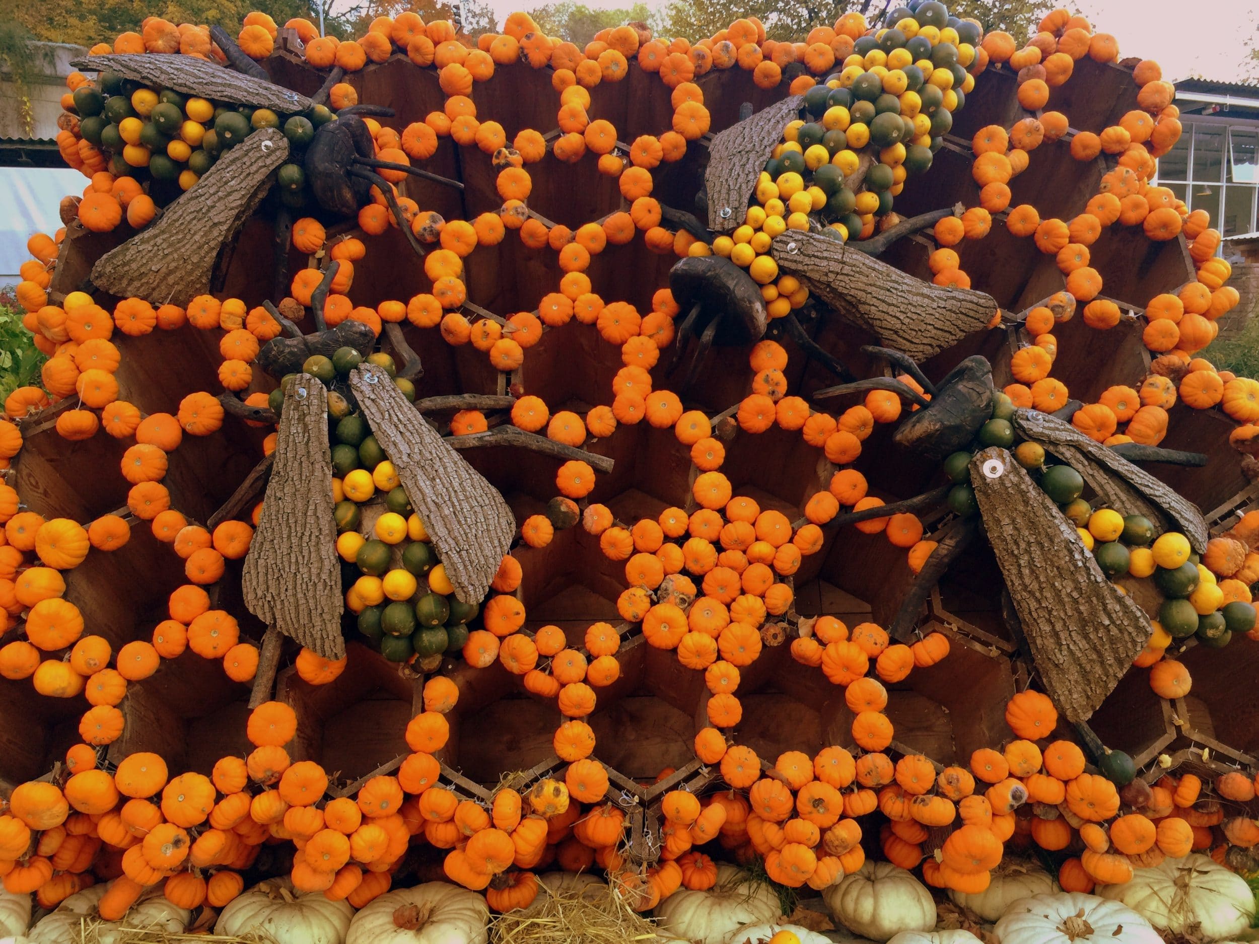 Ludwigsburg Pumpkin Festival via Wayfaring With Wagner