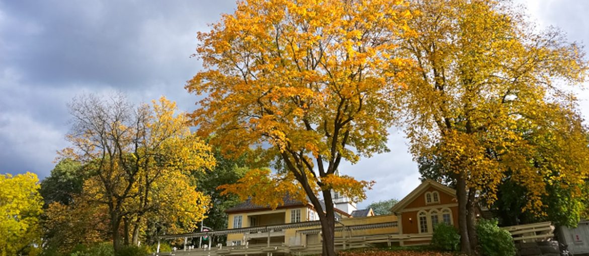 Autumn in Oslo via Wayfaring With Wagner