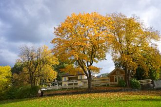 Autumn in Oslo via Wayfaring With Wagner
