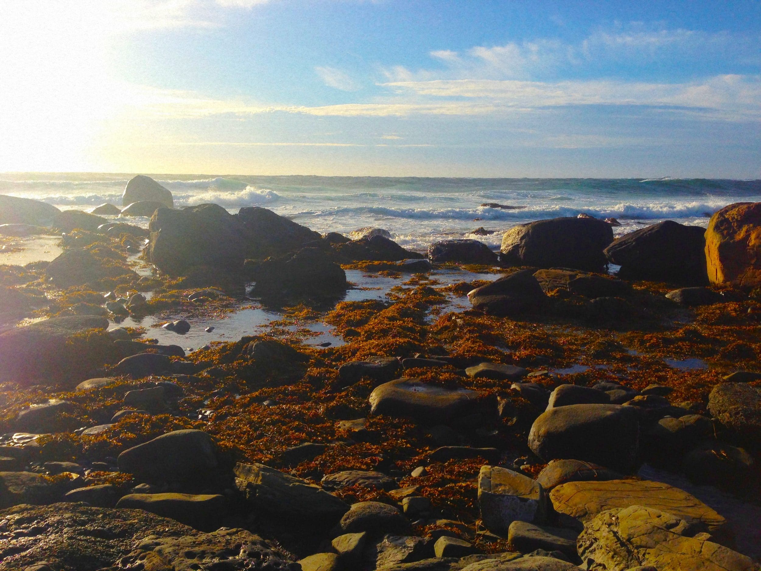 Newfoundland, Canada via Wayfaring With Wagner