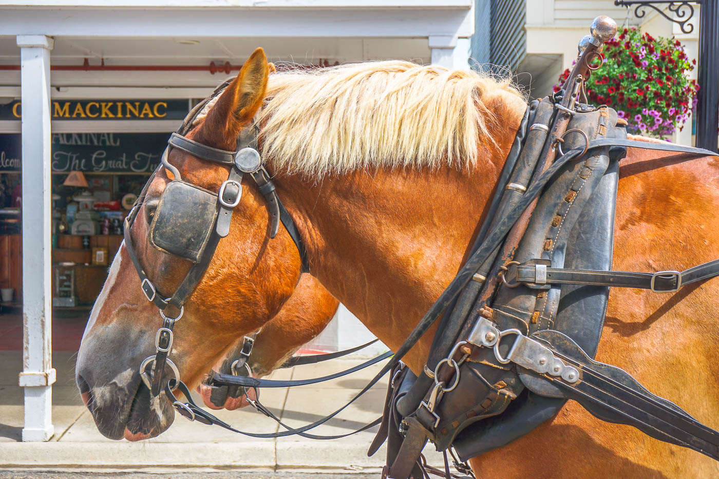 Mackinac Island via Wayfaring With Wagner