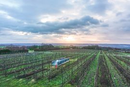 Winter Wine Trip from Mainz to Rheingau via Wayfaring With Wagner