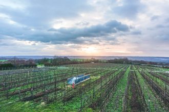 Winter Wine Trip from Mainz to Rheingau via Wayfaring With Wagner
